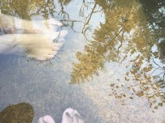 -西安国际创新人才交流中心•药浴温泉