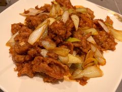 葱爆羊肉-燕春楼(海河华鼎店)