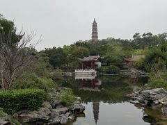 -顺峰山公园