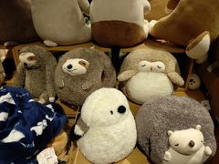 -九木杂物社(恒隆广场店)