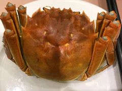 -王宝和酒家(黄浦店)