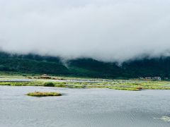 -腾冲北海湿地