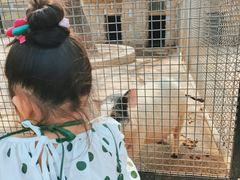 -石家庄市动物园