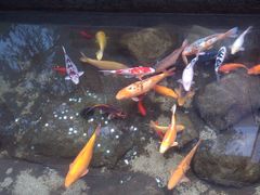 -泉乐坊步行街(烟酒特产平价超市店)