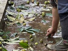 -东天目山风景区