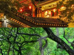 -广州市白云山风景名胜区