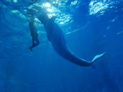 -多彩贵州城极地海洋世界