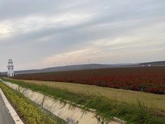 -南京枫彩漫城