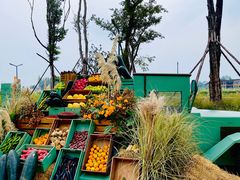 -中国天府农业博览园