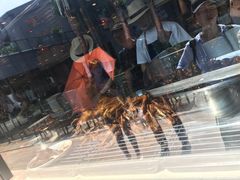 -陈鹏鹏潮汕菜(欢乐海岸 海边景观店)