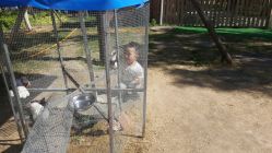 -萌宠亲子动物乐园(槐房万达店)