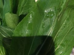 -呷哺呷哺(松江开元店)