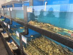 -华盛丰温州大排档(东三环南路店)