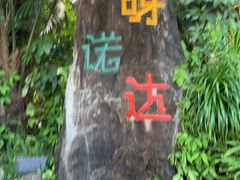 -呀诺达热带雨林