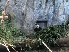 -深圳野生动物园