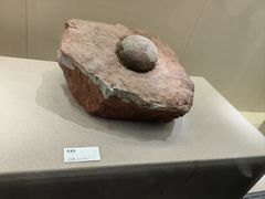 -衢州市博物馆