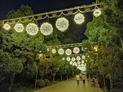 -迎泽公园