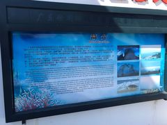 -广东惠东海龟国家级自然保护区