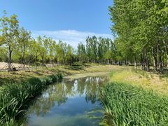 -东郊湿地公园