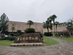 -自贡恐龙博物馆