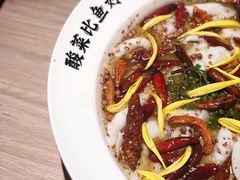 酸菜鱼-岭南站NOVA