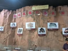 -中国西峡恐龙遗迹园