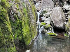 -东天目山风景区