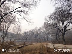 -齐齐哈尔市实验中学
