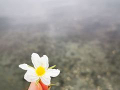 -大理洱海