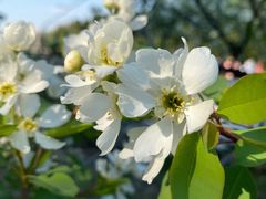 -长春公园(普阳街道)