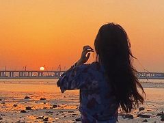 -宝安西湾红树林湿地公园