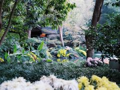 -杭州植物园