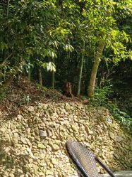 -尚圣月子会所·庄园式月子中心(萧山湘湖店)