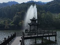 -江西阳明山国家森林公园