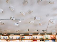 -猫的天空之城概念书店(束河店)