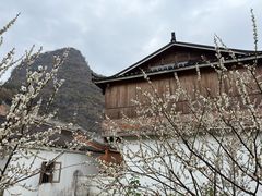 -钟山水墨田园