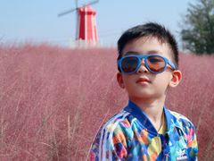 -羊亭河湿地公园