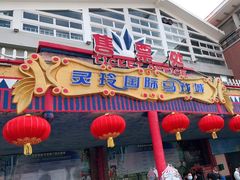 -灵玲国际马戏城