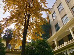 -南京中国近代史遗址博物馆(南京总统府)