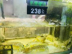 -凤城礼记鱼翅海鲜酒家(新马路总店)