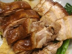 -狮头牌卤味研究所·卤味饭(花城汇南区店)