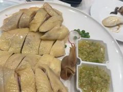 -广州酒家(昌岗地铁站店)