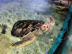 -福州罗源湾海洋世界旅游区