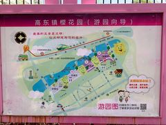 -高东镇樱花园