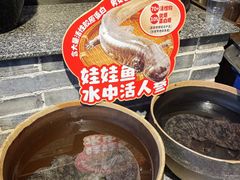 -印象鲵宴·张家界地标美食名片(溪布街店)