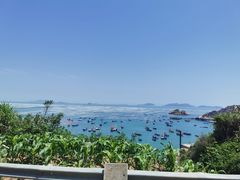 -枸杞岛