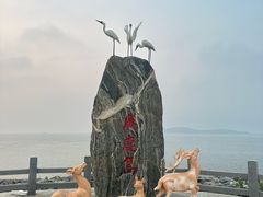 -广鹿岛