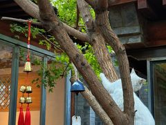 -VOYAGE COFFEE(杨梅竹店)