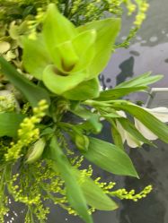 -HEYAN荷妍专业脱毛连锁机构