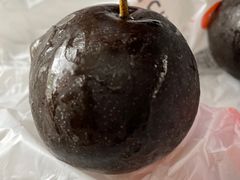 -金掌勺东北菜(格兰晴天店)